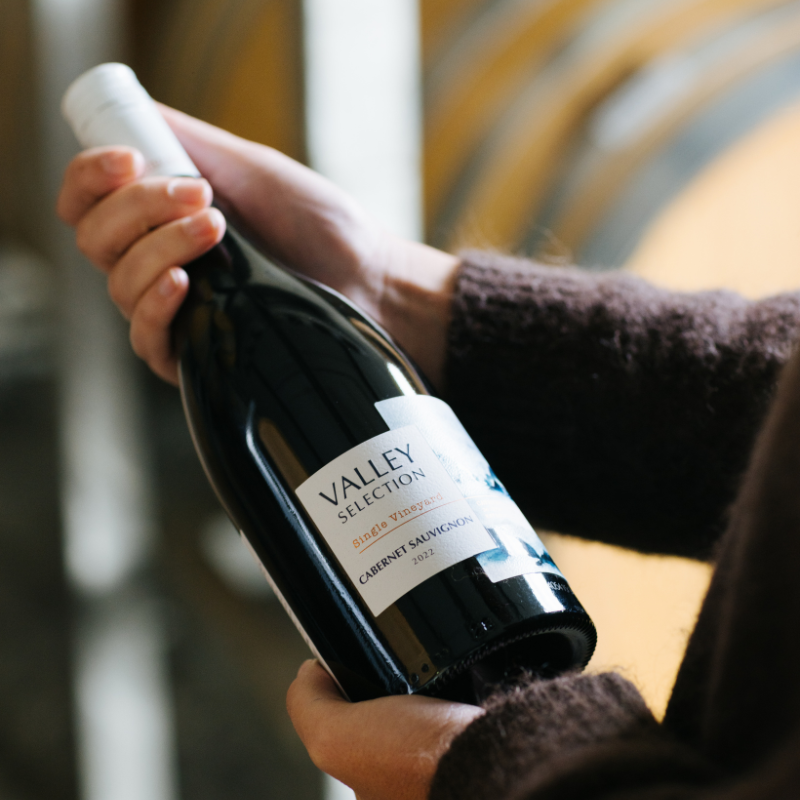 Celebrate Cabernet Sauvignon Day