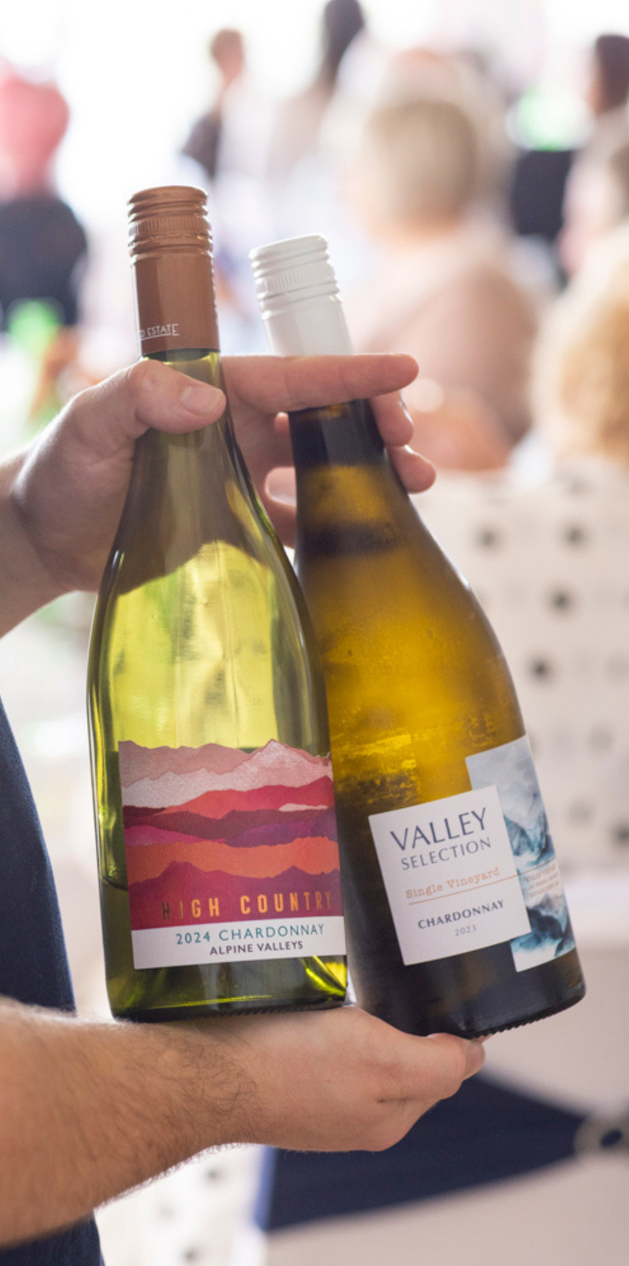 Chardonnay Day 6-Pack