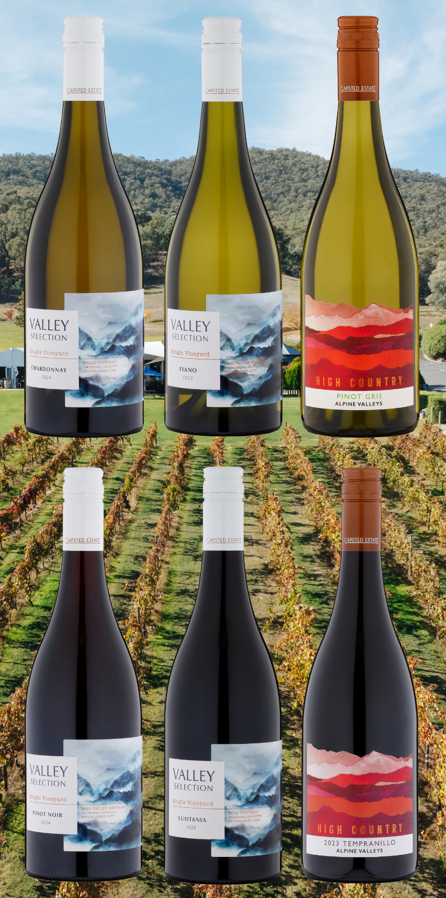 Budburst Mixed 6-Pack