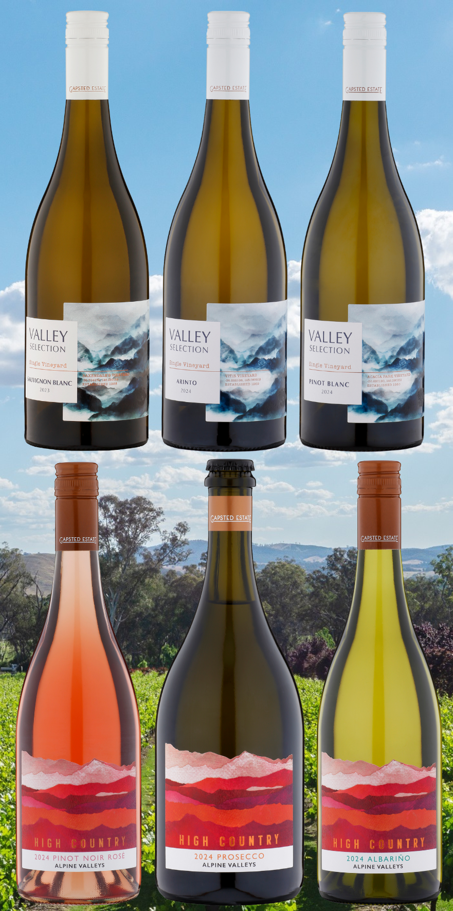 Veraison White 6-Pack