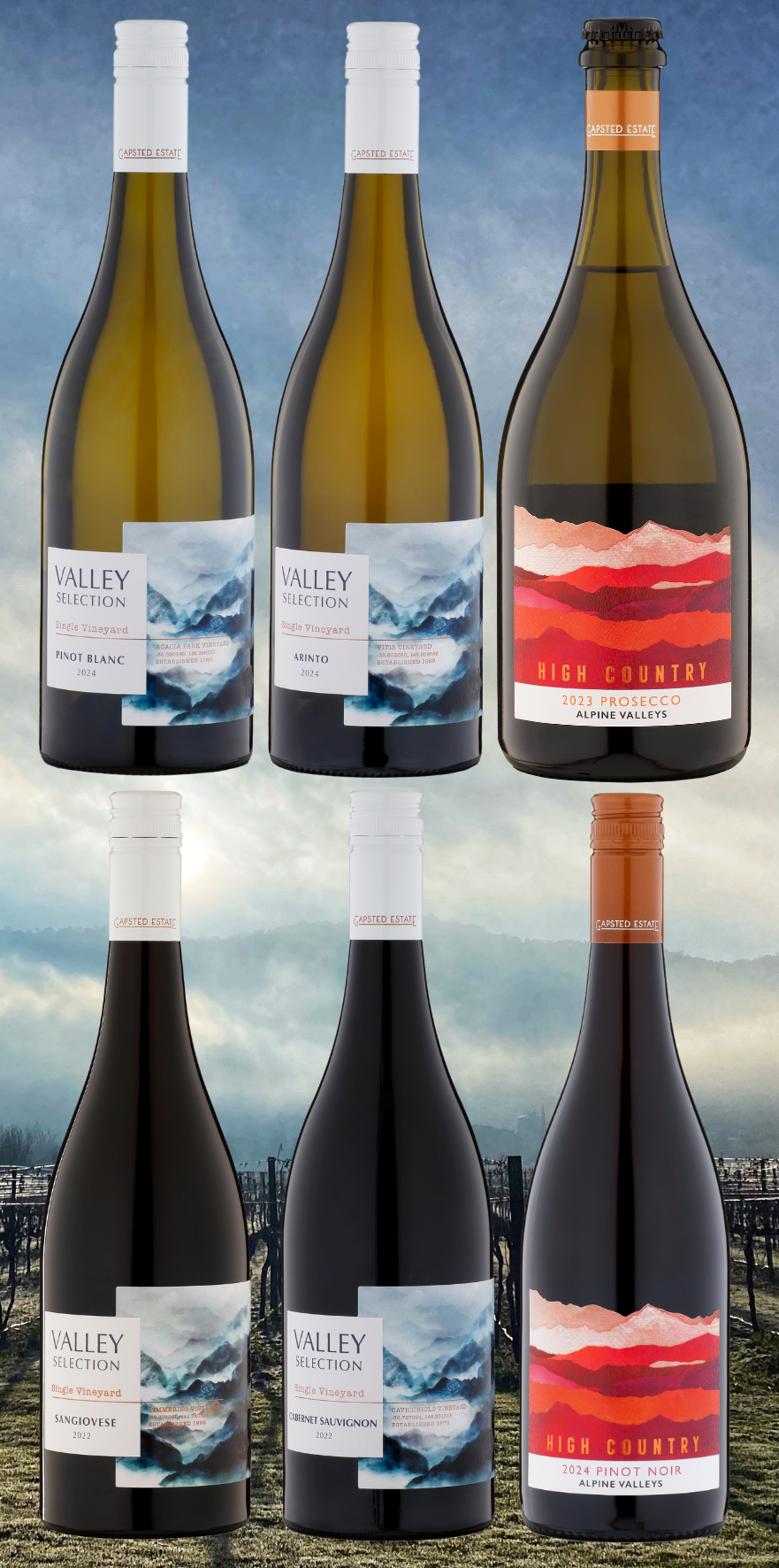 Winter Taster Pack (Mixed 6)