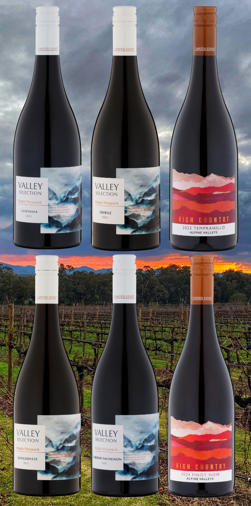 Winter Taster Pack (Red 6)