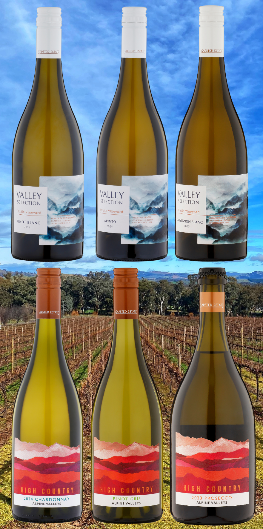 Winter Taster Pack (White 6)